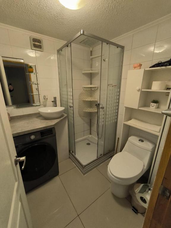 Koupelna v ubytování APART HOTEL EN BULNES