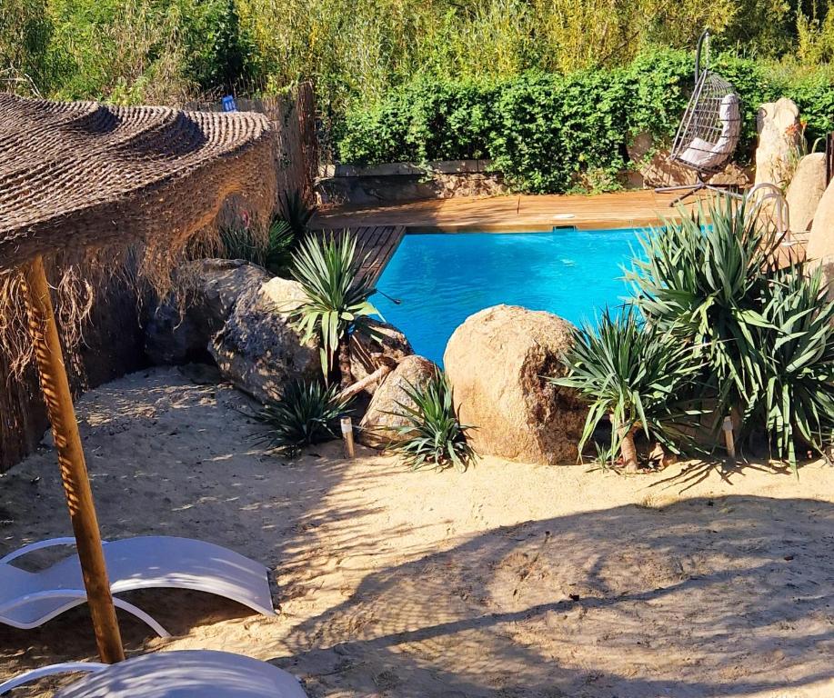 Bassein majutusasutuses Complejo Oasis Beach sobre el Rio või selle lähedal