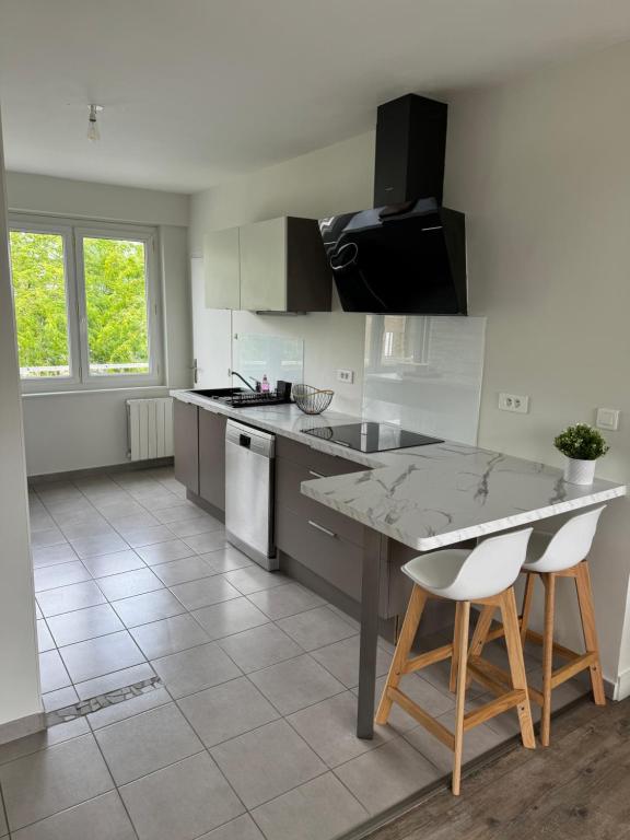 Kuchyň nebo kuchyňský kout v ubytování Appartement charmant