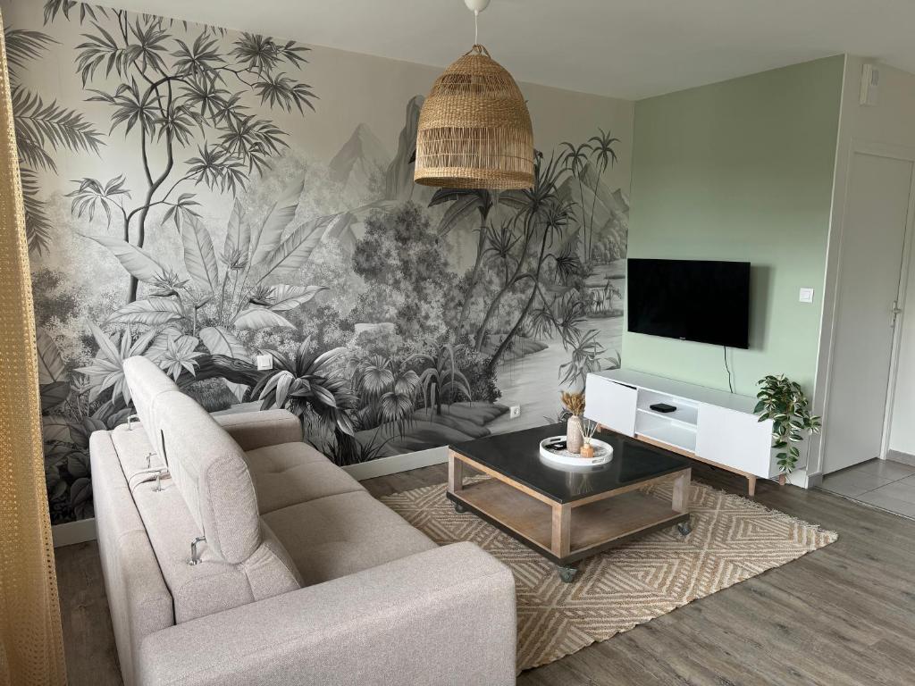 TV a/nebo společenská místnost v ubytování Appartement charmant