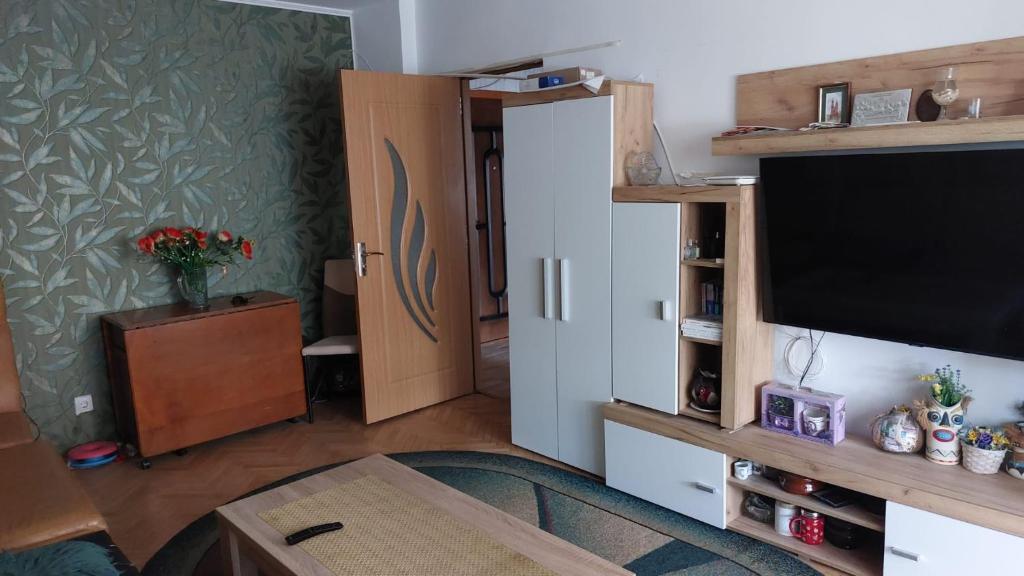 Η κουζίνα ή μικρή κουζίνα στο Tulcea E3