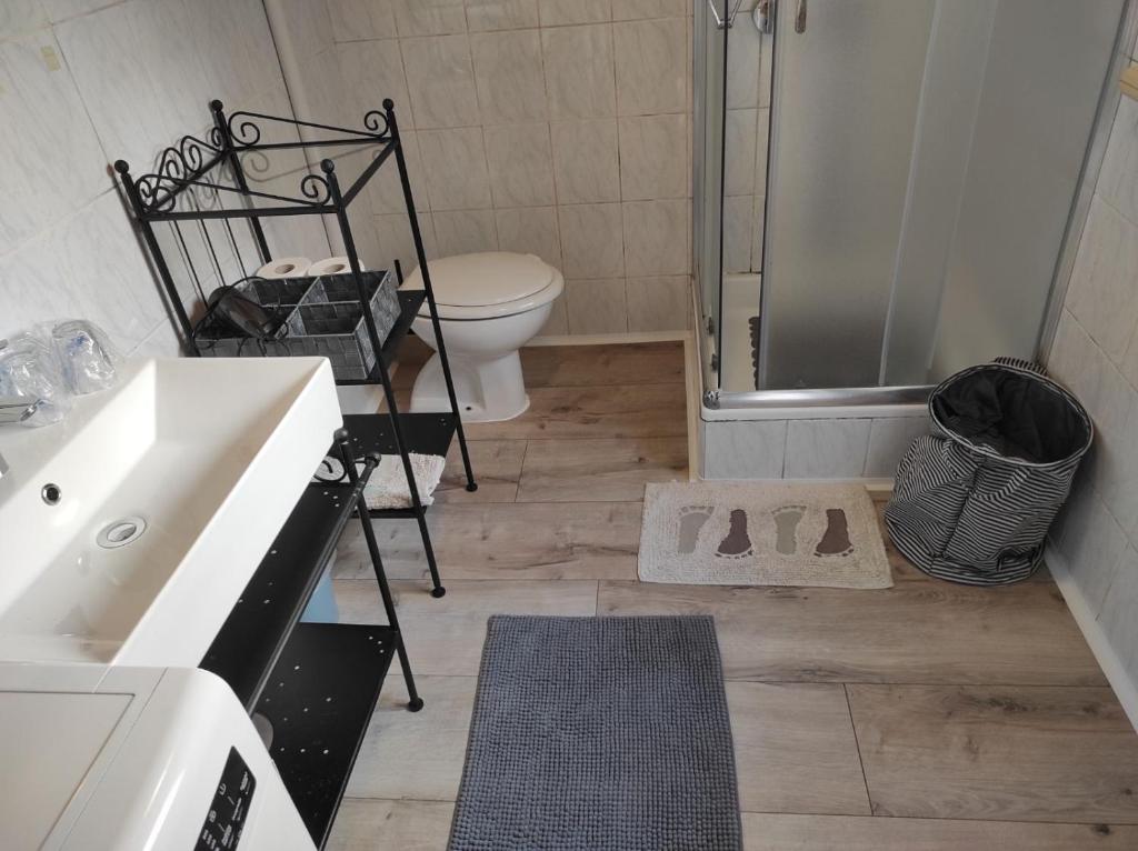 Kúpeľňa v ubytovaní apartman Rijeka