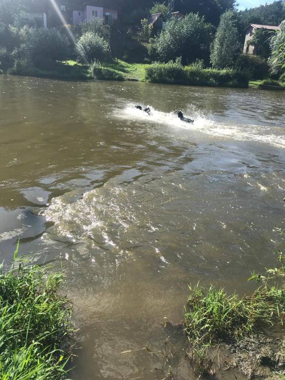 Výhled na řeku, která protéká v blízkosti prázdninového domu