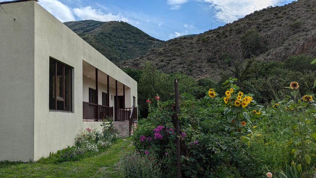Vista general d'una muntanya o vistes d'una muntanya des de l'hostal o pensió