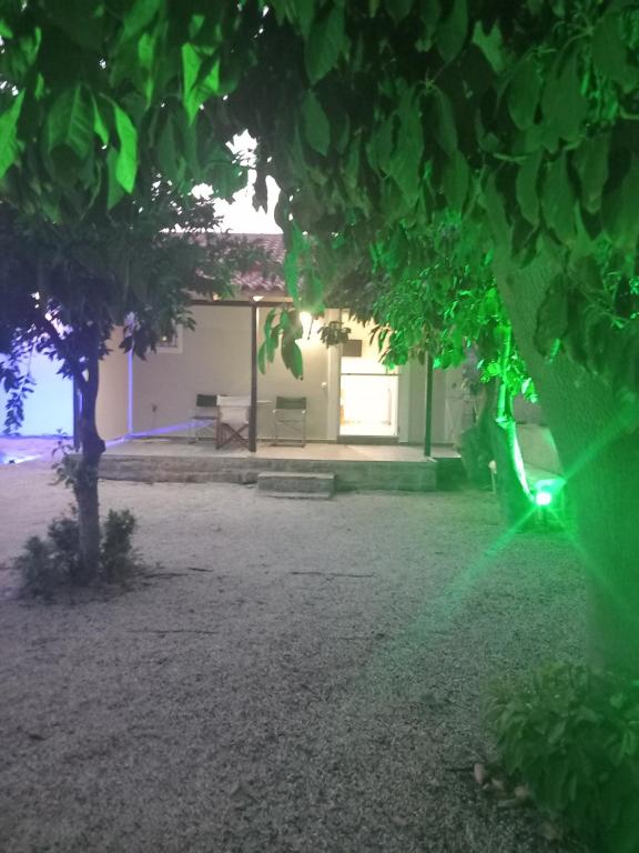 Vonkajšia záhrada v ubytovaní Avocado house