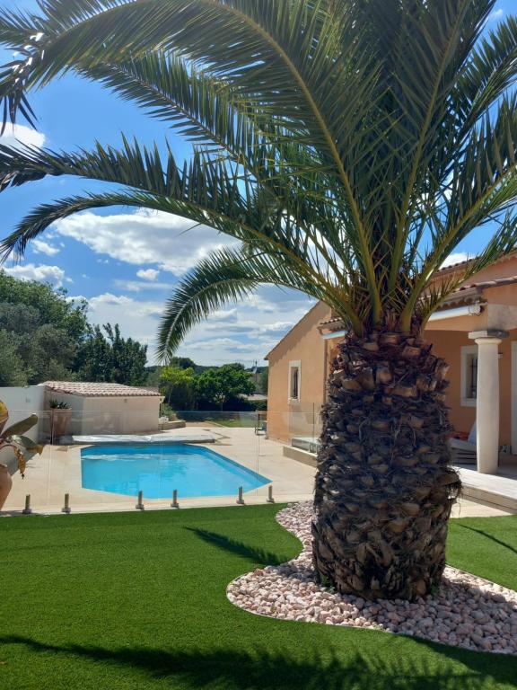 un palmier en face d'une piscine dans l'établissement La Villa Palma, à Mus