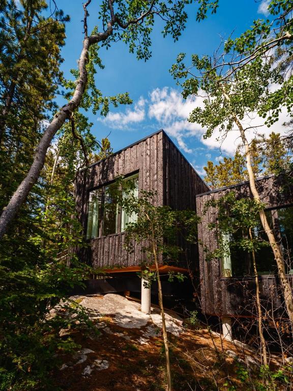a wooden house in the woods with trees at Black Spruce - Yellow Door in Whitehorse