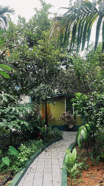 Cat'sClaw Inn - Casa De Vacaciones