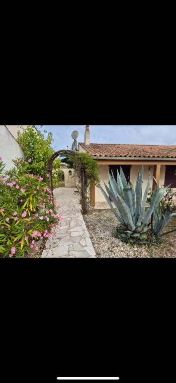 a picture of a house with a cactus in front of it at Maison de vacances in Saint-Trojan-les-Bains