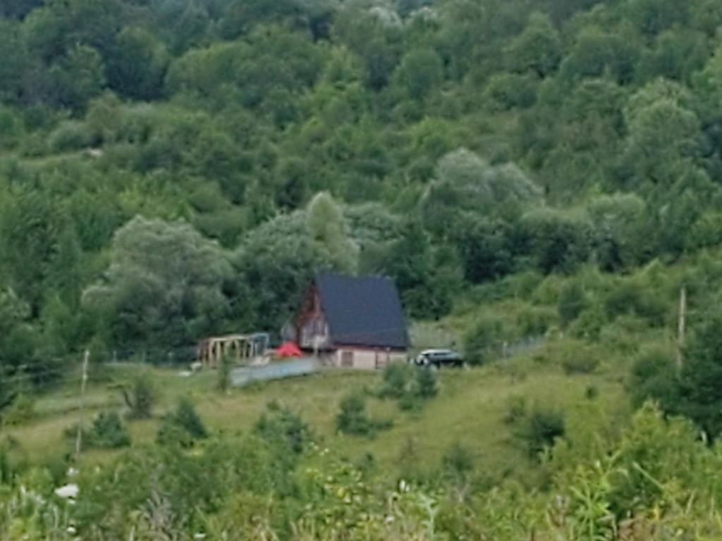 Příroda nedaleko prázdninového domu