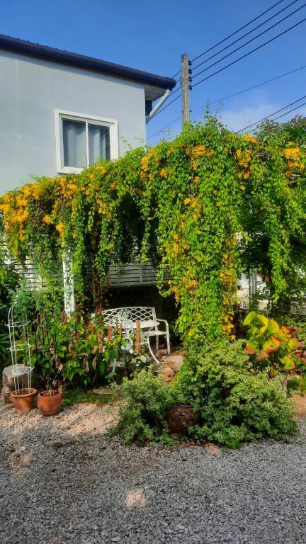Zahrada ubytování Bann Kam B&B
