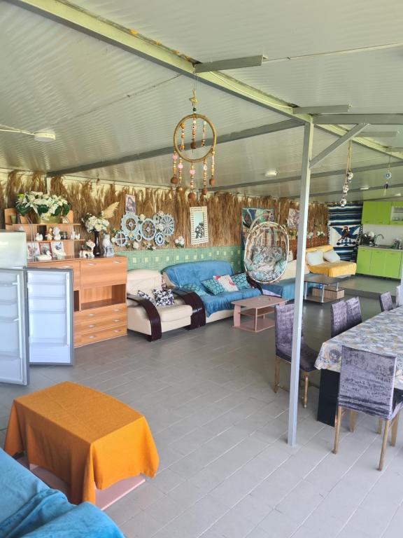 Χώρος καθιστικού στο Vadul Anikis