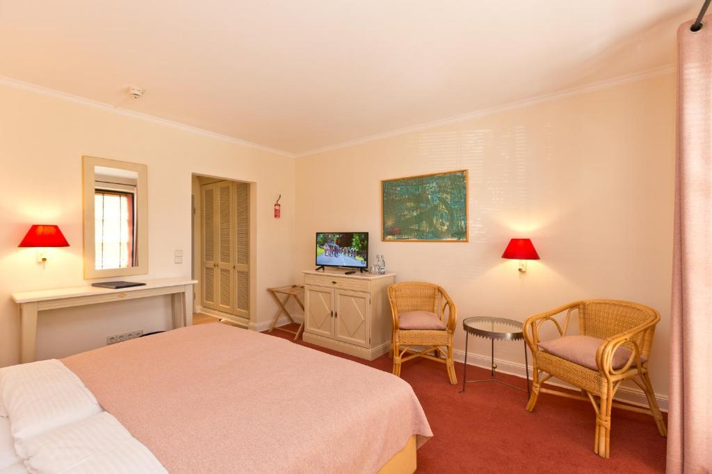 Hotel ARTE Schwerin - Habitación Doble Con Terraza