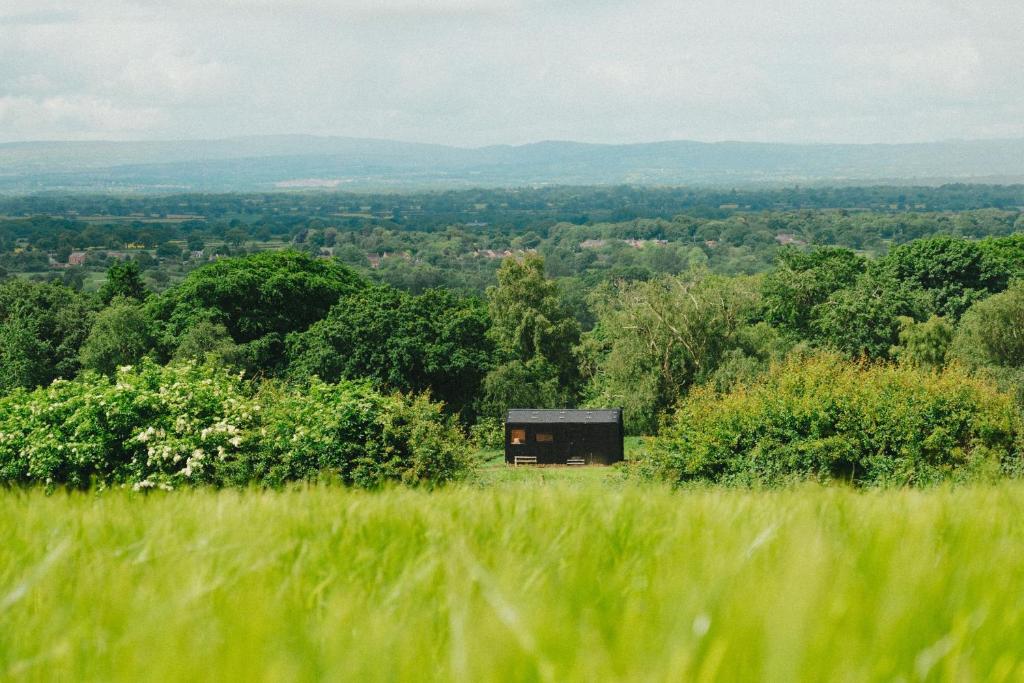 a black shack in the middle of a field of grass at Sirius in Kelsall