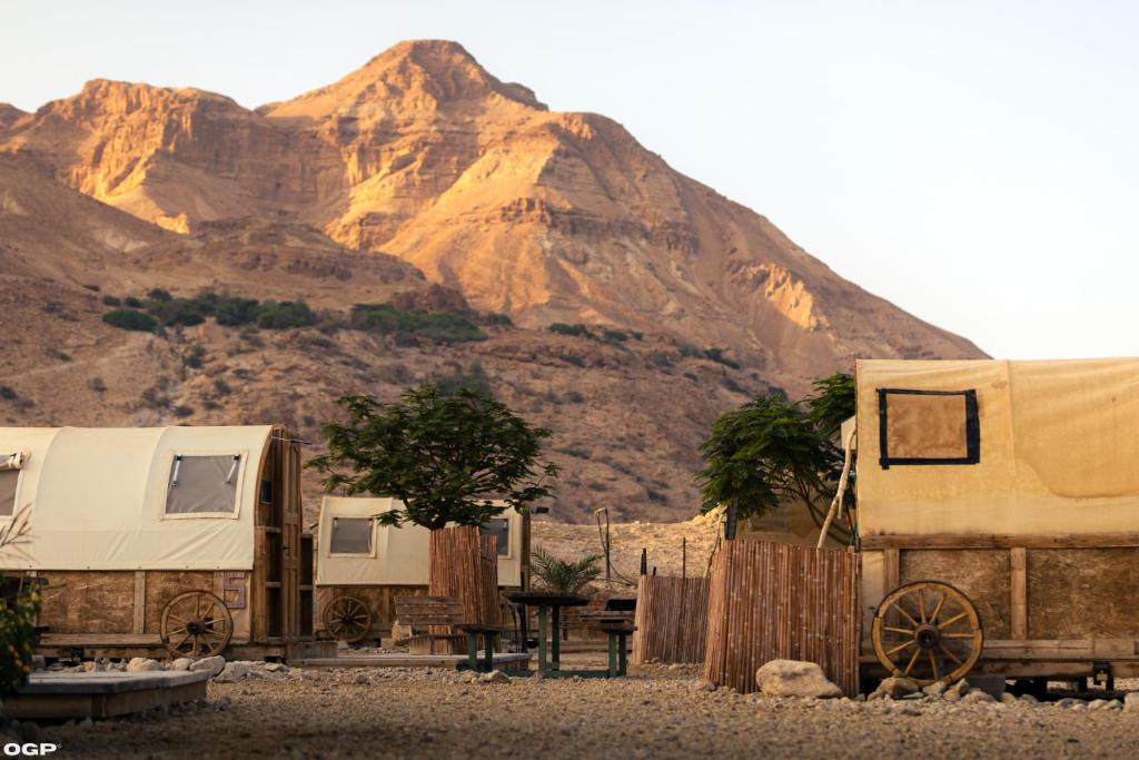 Badolina Ein Gedi Glamping - Housity