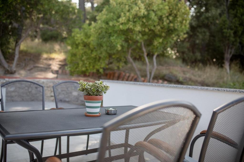 Сад в Apartmet Jadran
