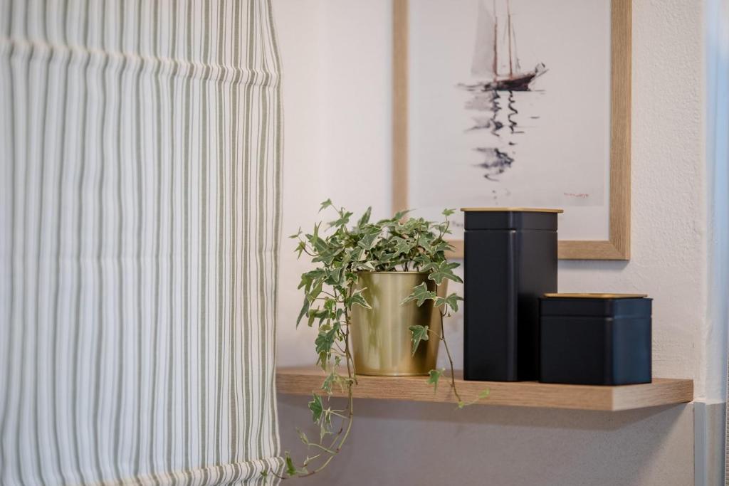 Фотография из галереи Apartmet Jadran в Рабе