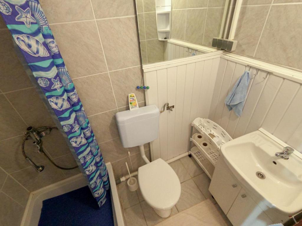 Koupelna v ubytování Apartments Silva