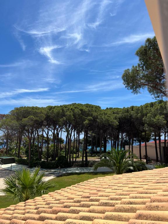 a view of a park with trees in the background at New Barcavela in Santa Margherita di Pula