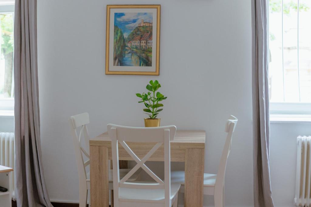 Fotografie z fotogalerie ubytování BRIDGE apartments v Lublani