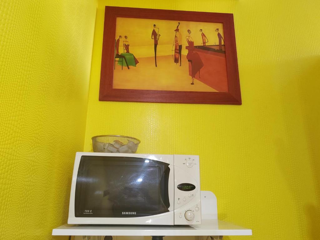 un micro-ondes sur une étagère avec une photo sur le mur dans l'établissement L'Escale, chambres chez l'habitant, au Mans