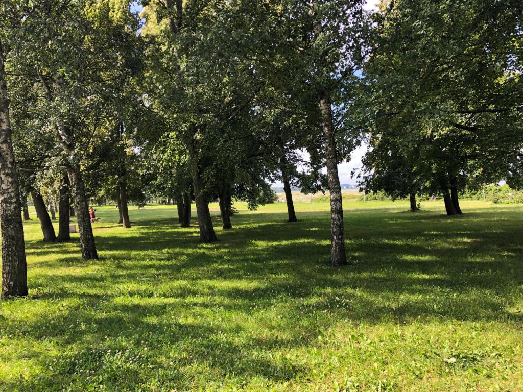 Κήπος έξω από το Ocean & Beach