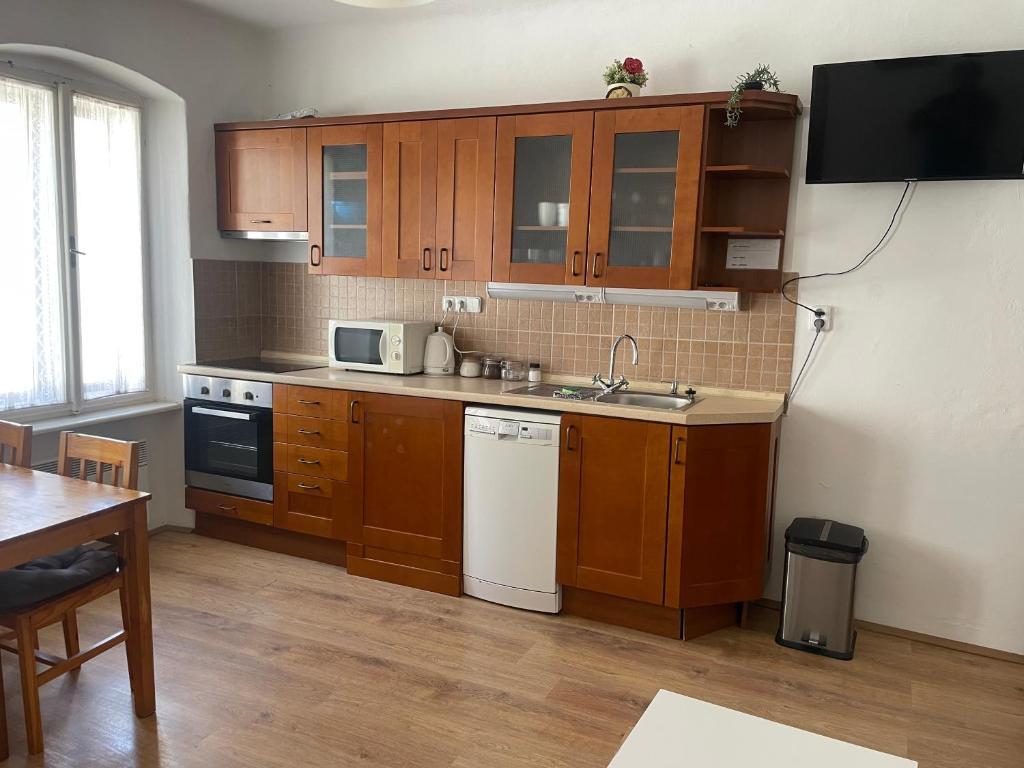 Apartmany u Synagogy - One-Bedroom Apartment