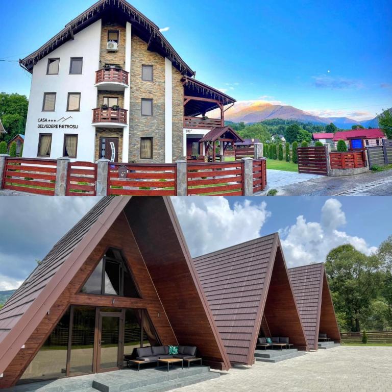 a house that is shaped like a pyramid at Casa Belvedere Pietrosu in Moisei