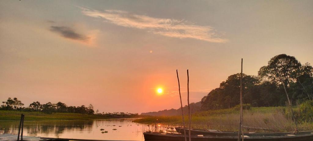 Landskap semula jadi dekat dengan lodge