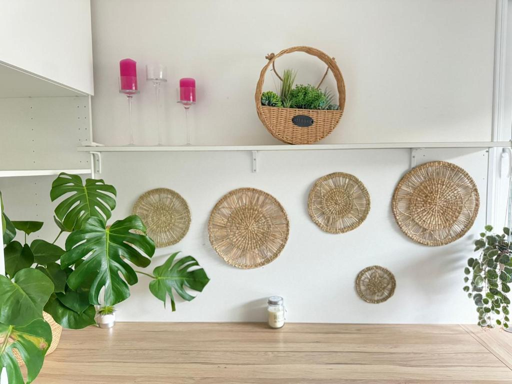 a room with baskets and plants on a wall at Studio indépendant et cosy in Basse-Goulaine