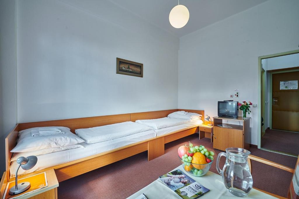 Hotel Palace - KÚPELE SLIAČ - Habitación Doble Estándar