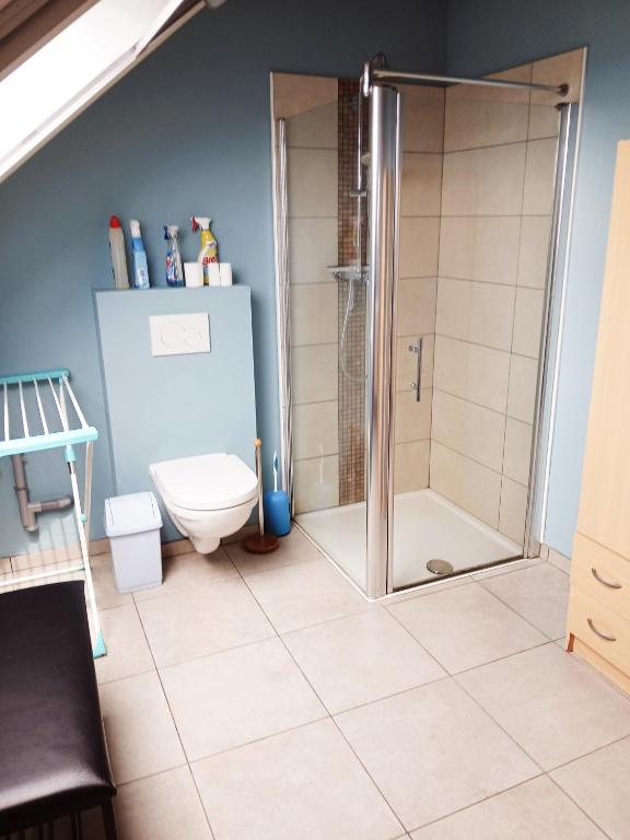 Koupelna v ubytování Gîte Ferme d'hurtaux