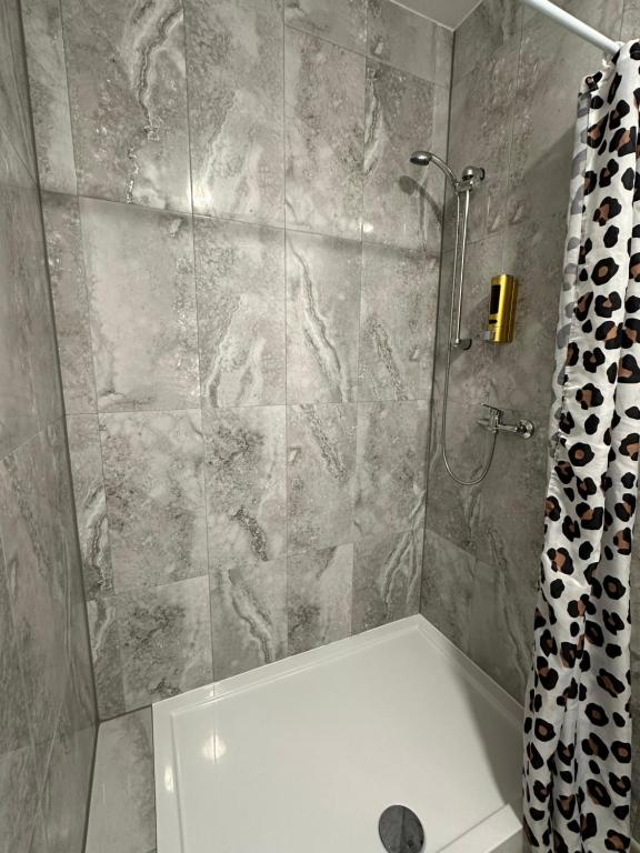 Olszyna Pod Brzozą - Appartement 1 Chambre Classique Avec Lit King-Size