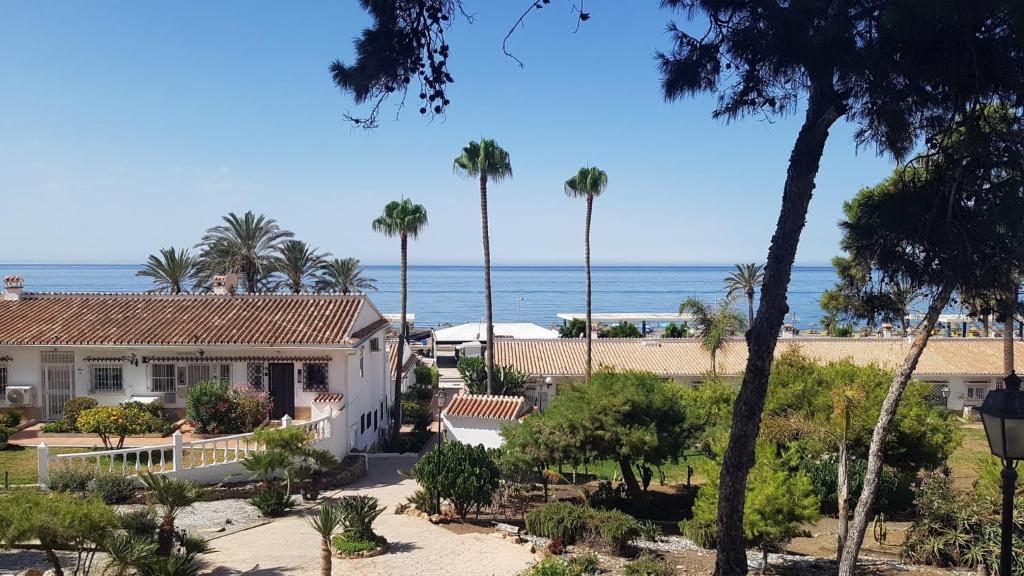 托罗克斯Calm Bungalow的棕榈树和大海海滩上的度假屋