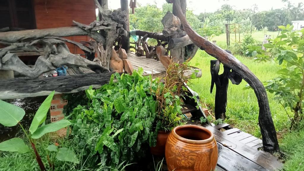 Zahrada ubytování Meta Homestay
