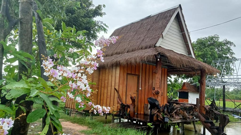 Zahrada ubytování Meta Homestay