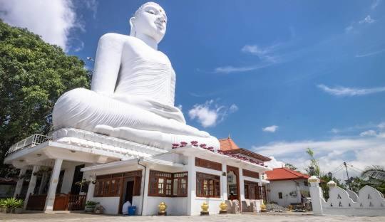 Fotografie z fotogalerie ubytování Kandy Siebel Bungalow v destinaci Kandy