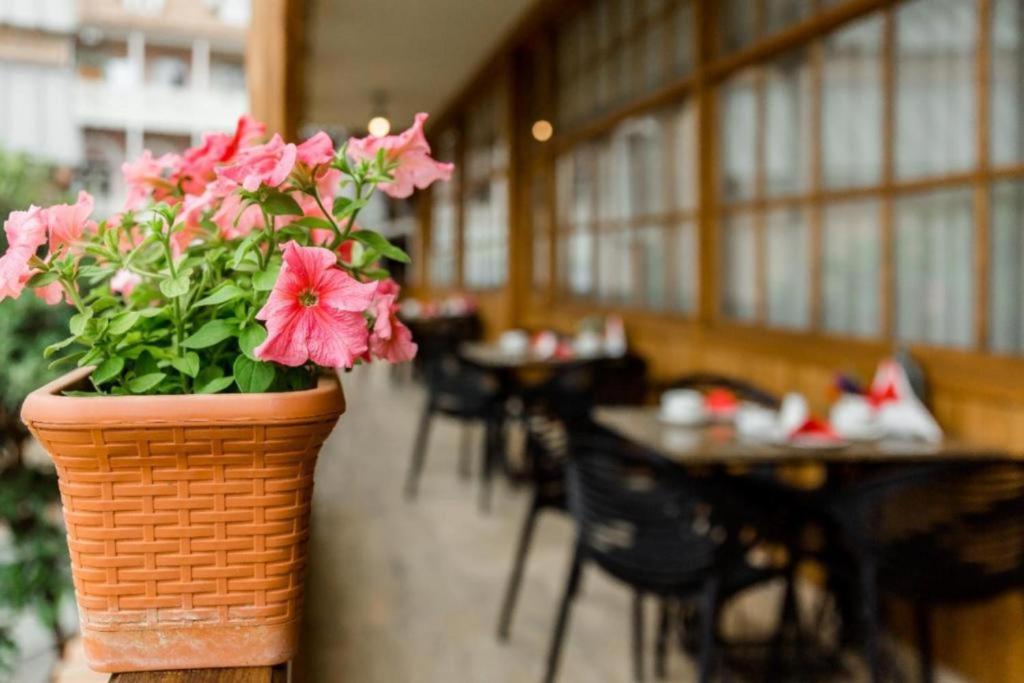Restaurace v ubytování Rasta Maidan Hotel