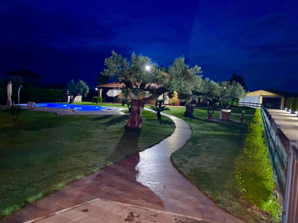 a tree in the middle of a park at night at Giardino tra gli ulivi in Treglio