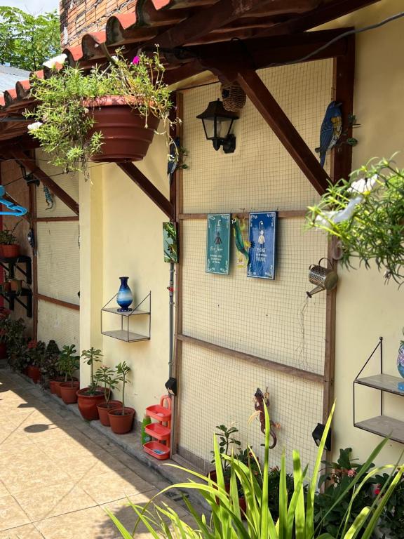 Zahrada ubytování Casa Micaela