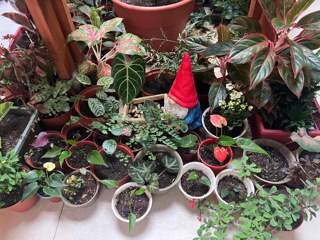 Zahrada ubytování Casa Micaela