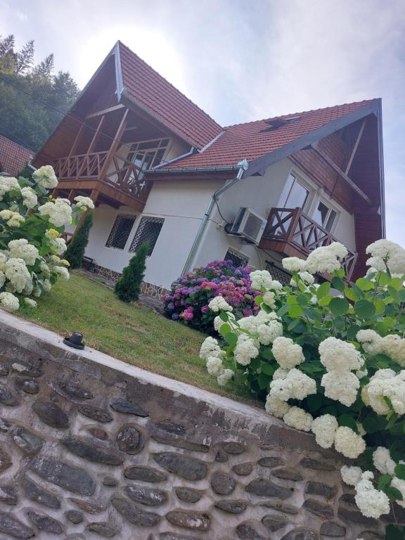 Dor de Munte Transfăgarasan - Villa