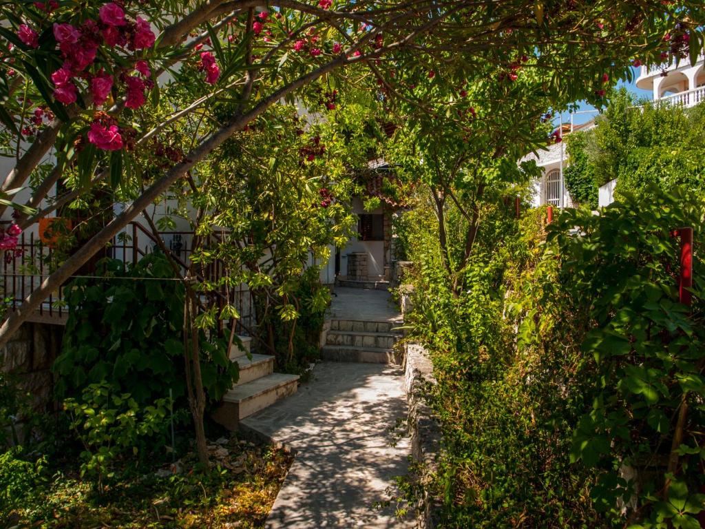 Zahrada ubytování Villa Clematis