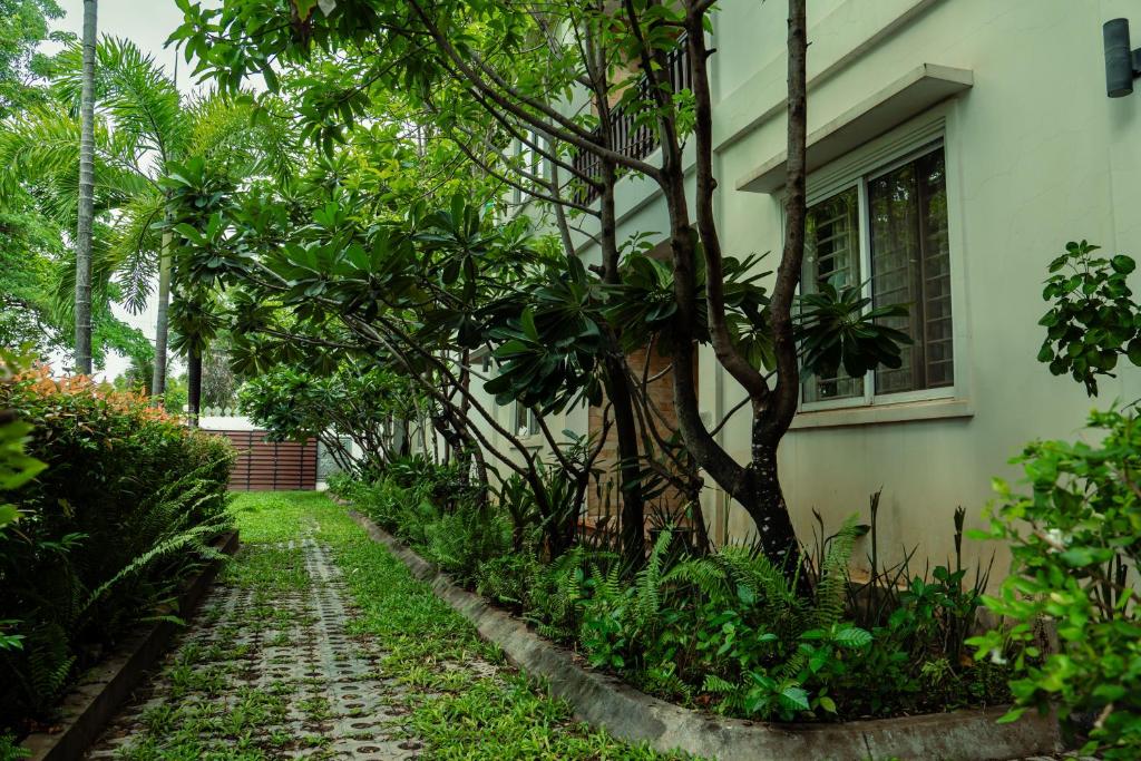Zahrada ubytování Siemreap Green Residence