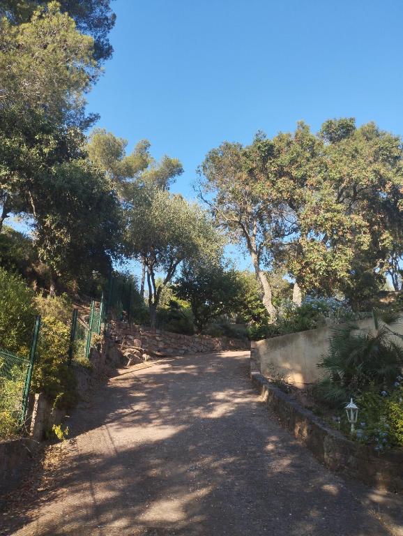 un chemin de terre avec des arbres des deux côtés dans l'établissement Teva 83, à Saint-Raphaël