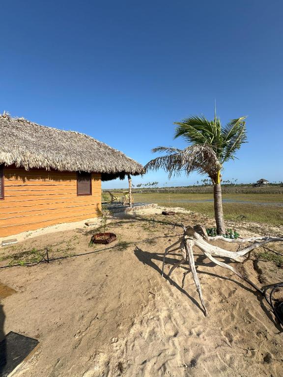 Příroda nedaleko hotelu