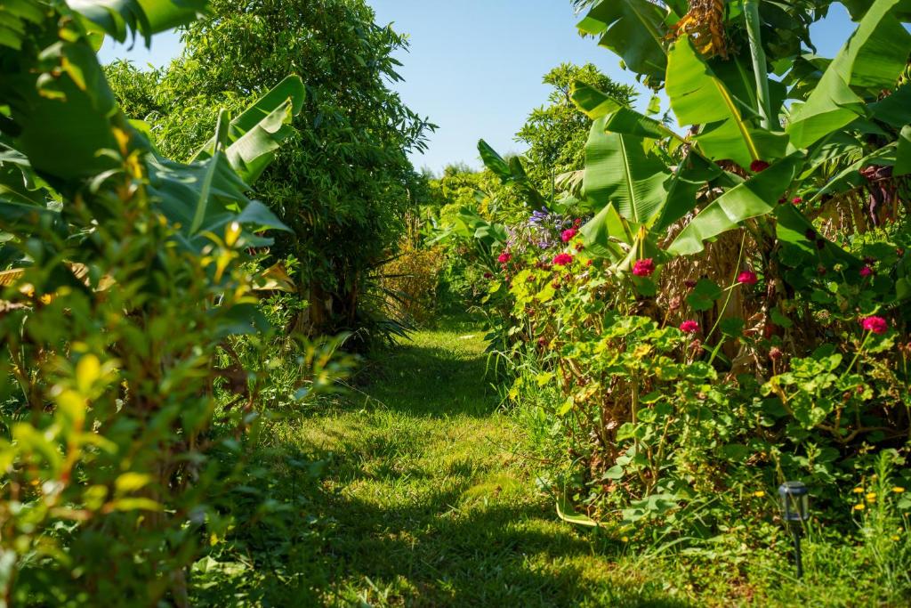 Zahrada ubytování The Plantation Faial