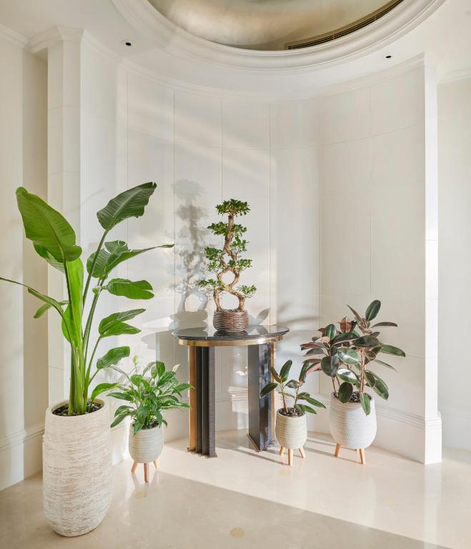 Emirates Palace Mandarin Oriental, Abu Dhabi - Camera Gemella Vegana