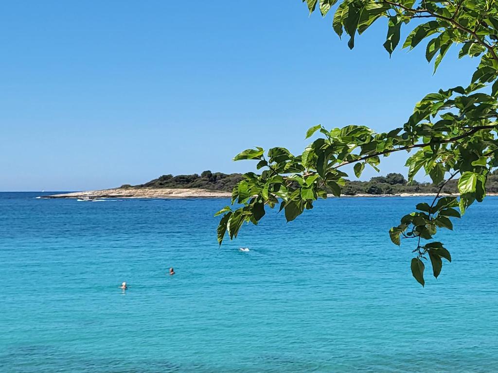 a large body of water with people swimming in it at Margaret 150 METERS TO THE BEACH in Banjole