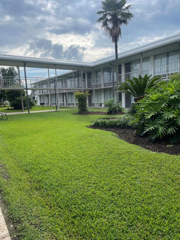 a building with a palm tree in front of a yard at Plantation Inn in Houma